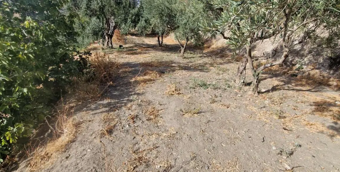 Sale of detached villa in Alora 35