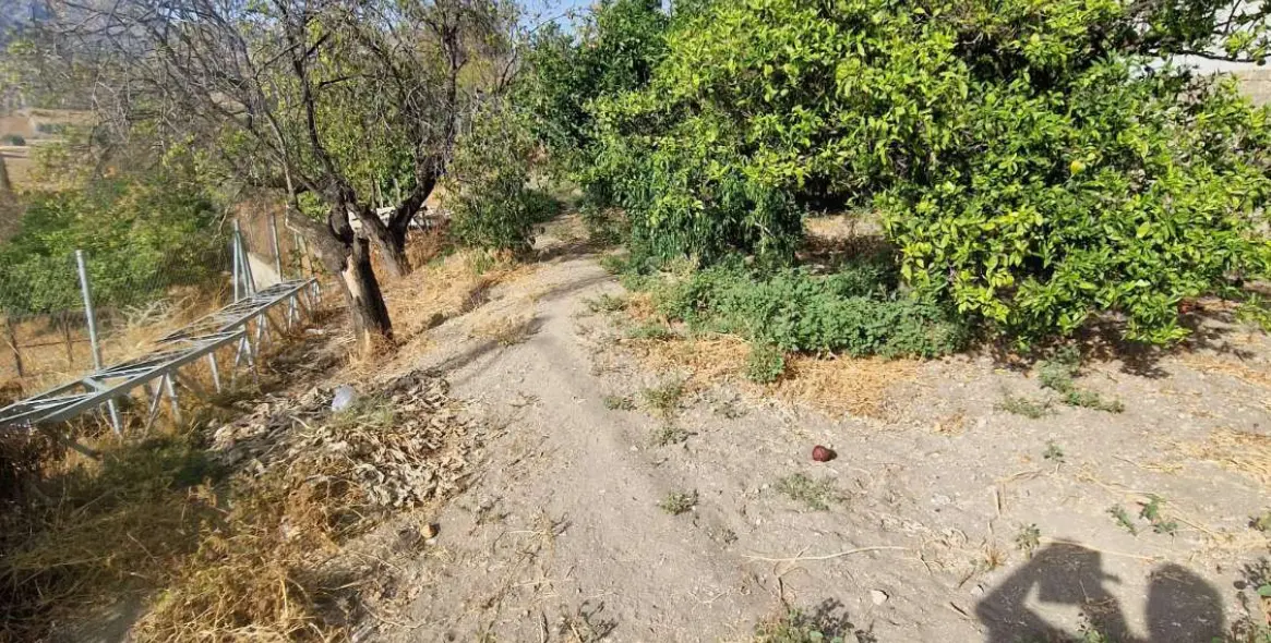 Sale of detached villa in Alora 37