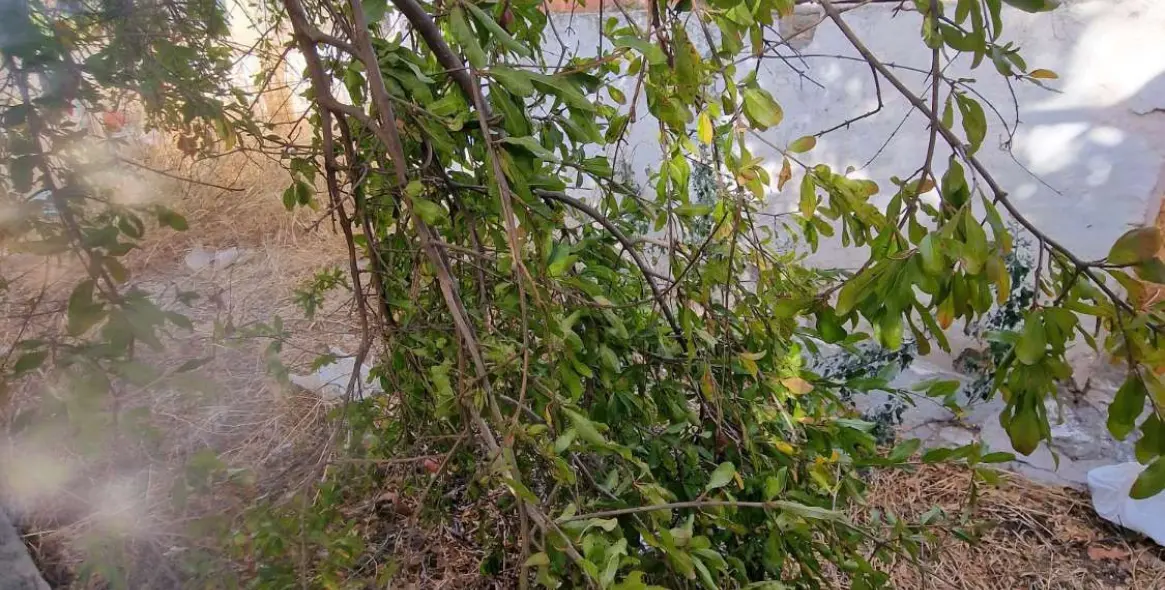 Sale of detached villa in Alora 38