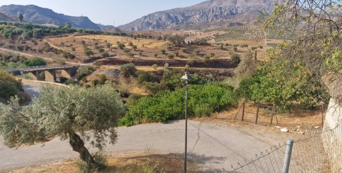 Sale of detached villa in Alora 40