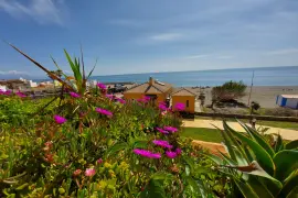 Image 31 thumb