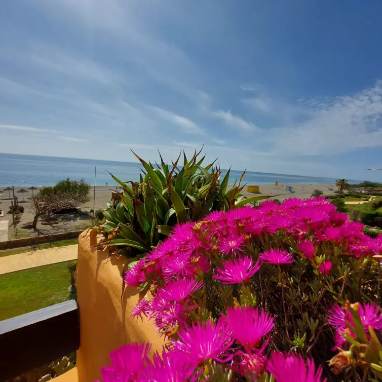 Sale of middle floor apartment in La Duquesa