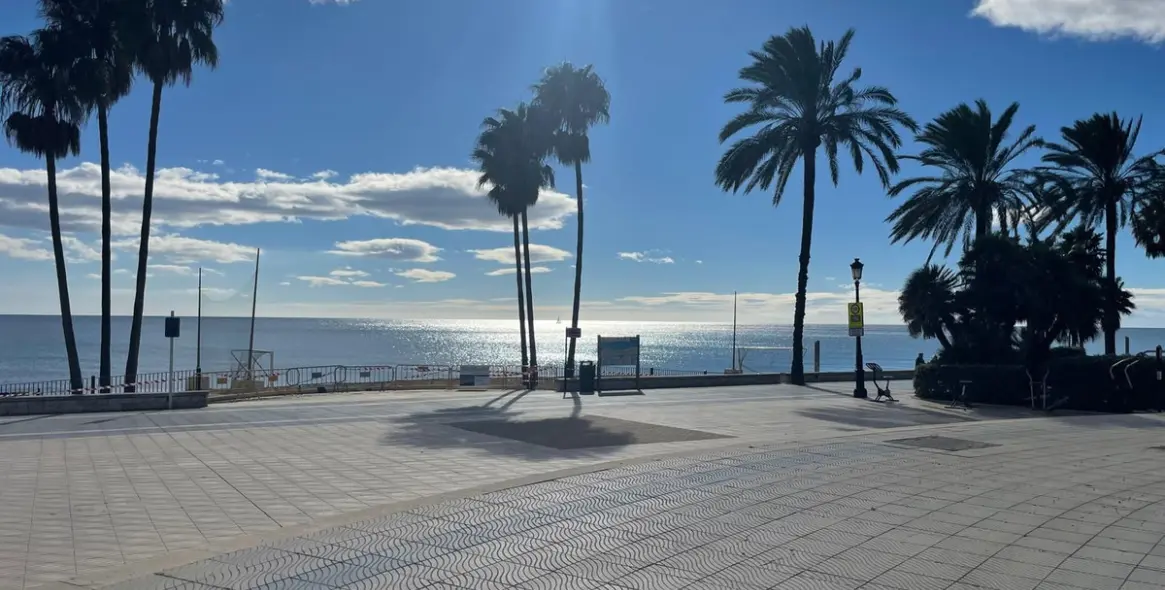 Sale of ground floor apartment in San Pedro de Alcántara 20