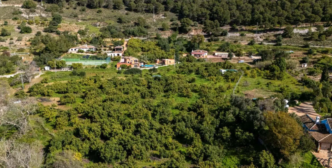Sale of finca - cortijo in Coín 27