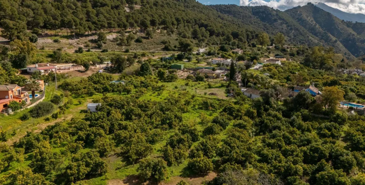 Sale of finca - cortijo in Coín 28