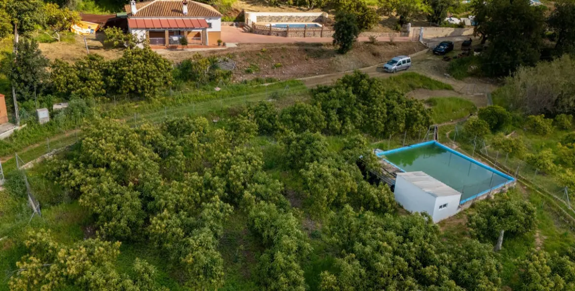 Sale of finca - cortijo in Coín 29