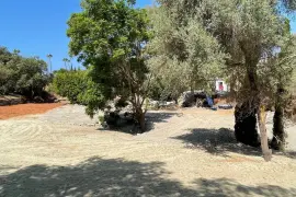 Image 4 thumb