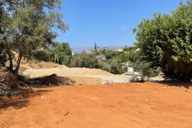 Image 6 thumb