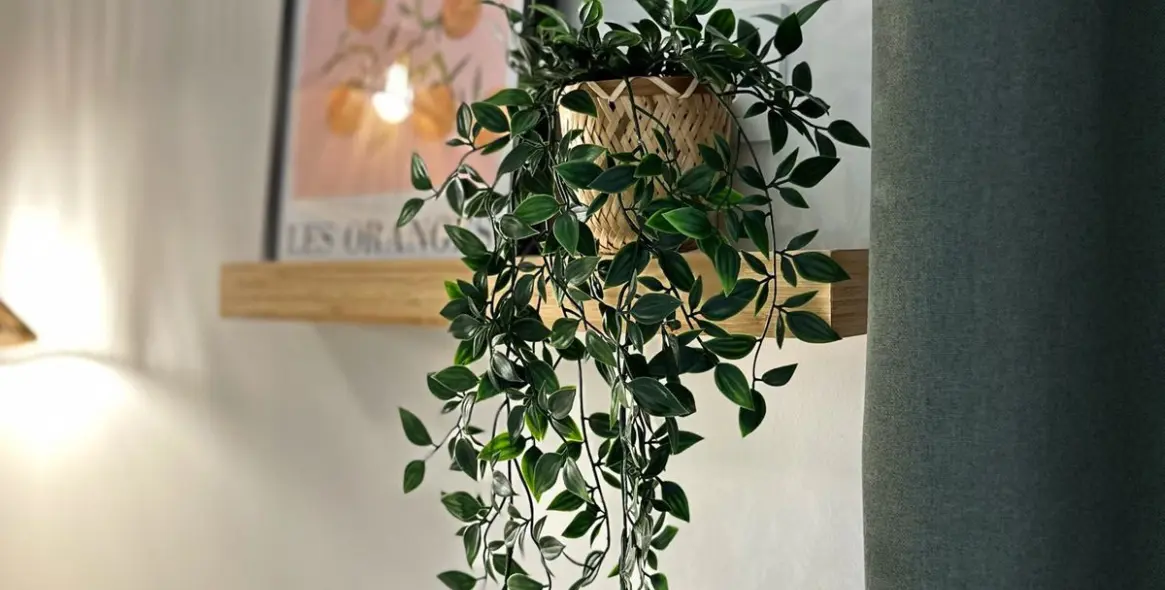 Sale of ground floor apartment in Estepona 20