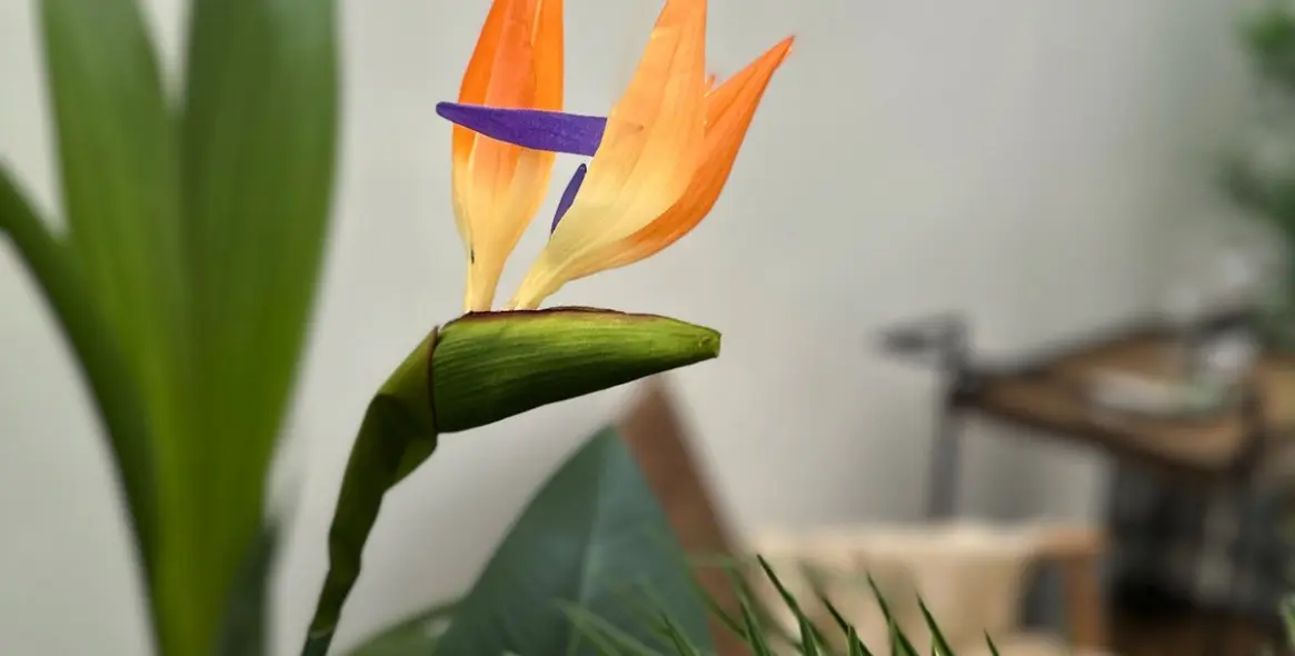 Продажа апартаментов на первом этаже в Estepona 35