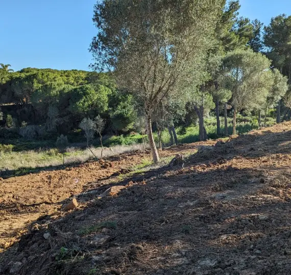 Venta de parcela residencial en Sotogrande