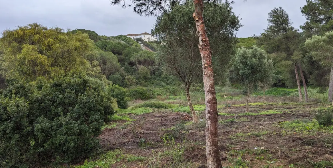 Продажа  жилого участка в Sotogrande 5