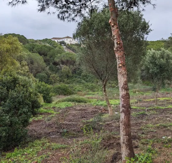 Venta de parcela residencial en Sotogrande