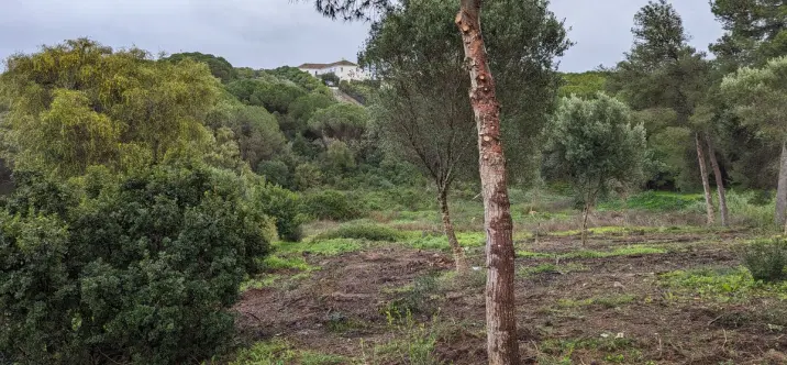 Venta de parcela residencial en Sotogrande 4