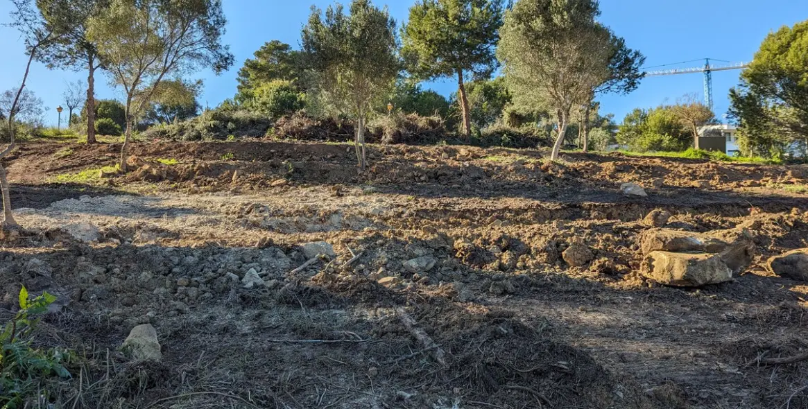 Продажа  жилого участка в Sotogrande 9