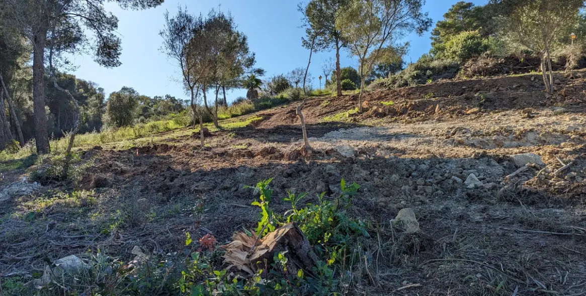 Продажа  жилого участка в Sotogrande 10