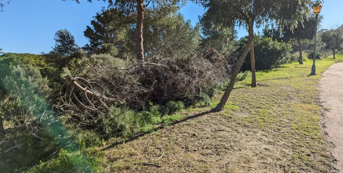 Продажа  жилого участка в Sotogrande 11