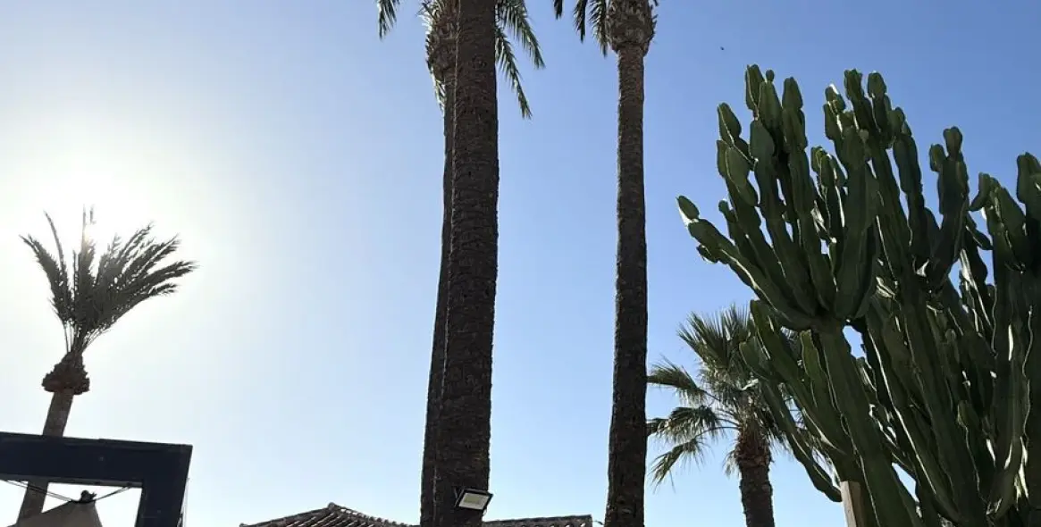 Продажа  отдельно стоящей виллы в El Faro 10