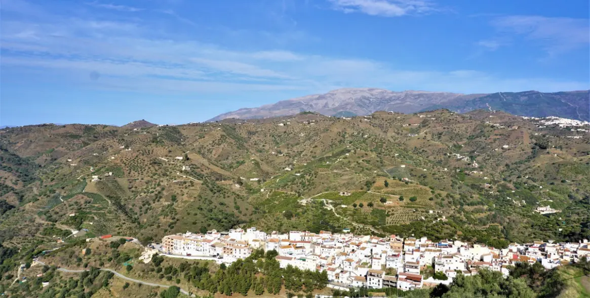 Sale of detached villa in Sayalonga 15