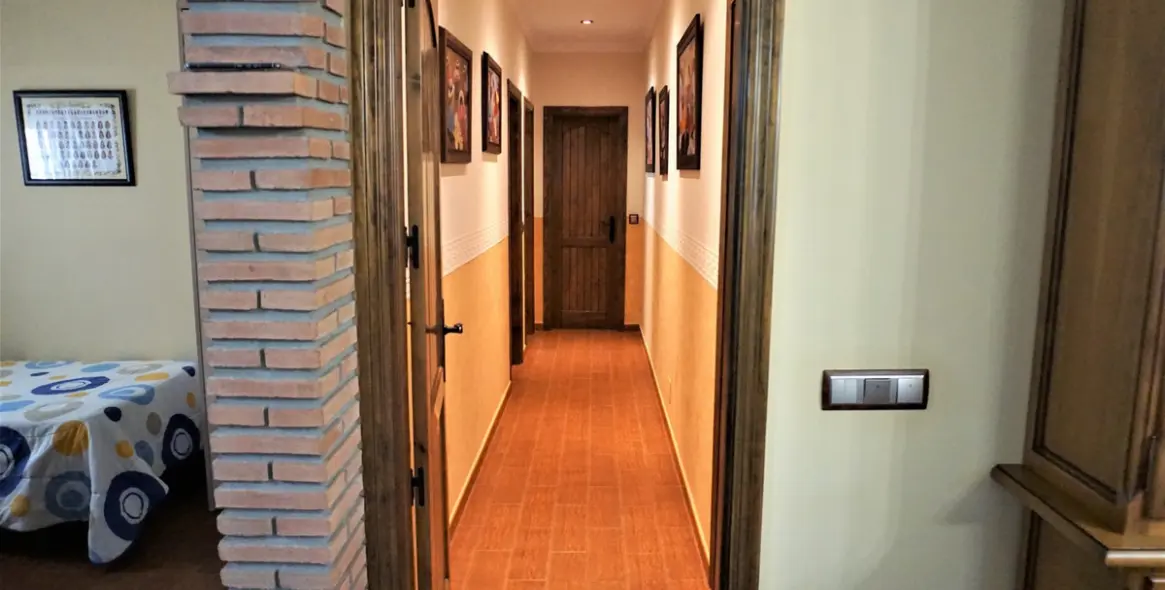 Sale of detached villa in Sayalonga 17