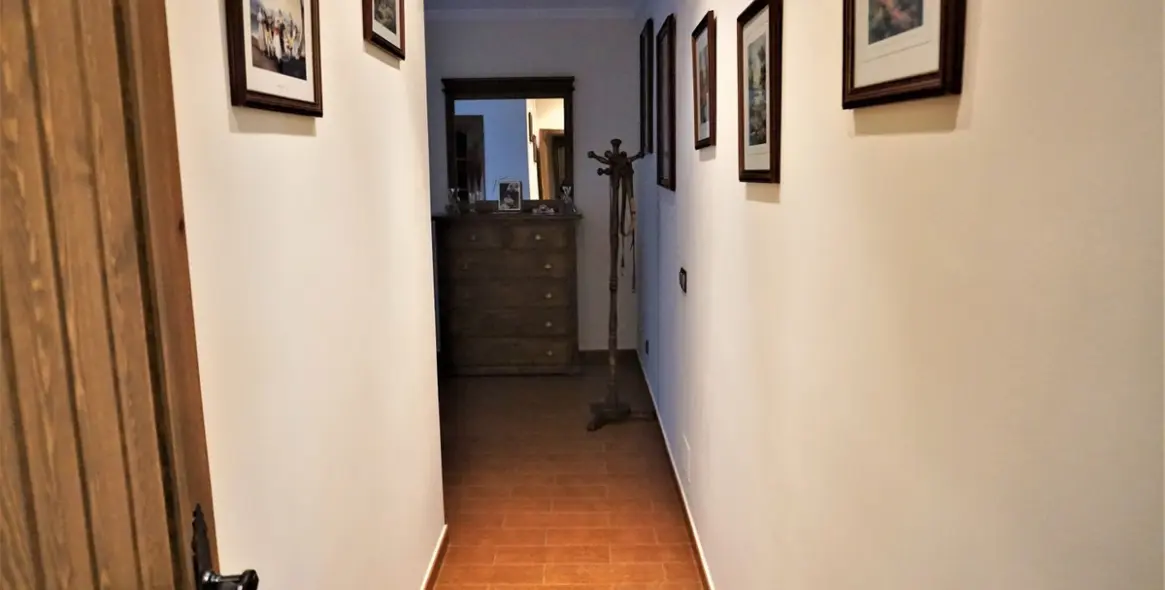 Sale of detached villa in Sayalonga 25