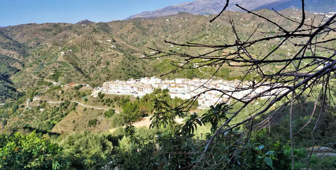 Sale of detached villa in Sayalonga 45