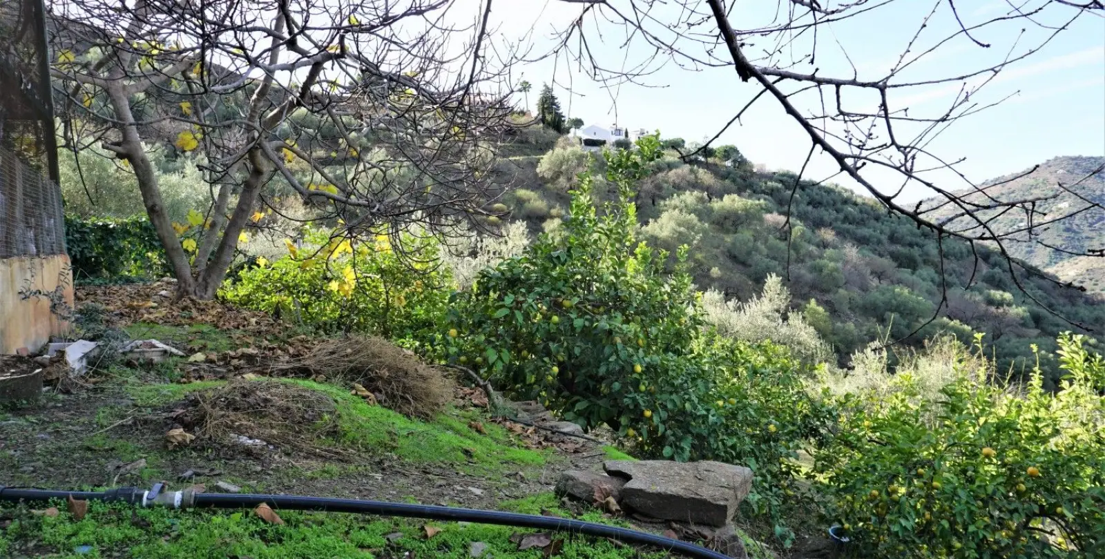 Venta de villa independiente en Sayalonga 43
