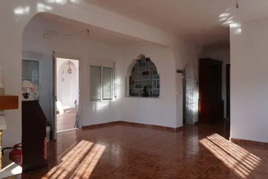 Image 8 thumb