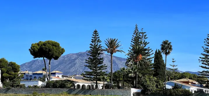 Продажа таунхауса в San Pedro de Alcántara 1