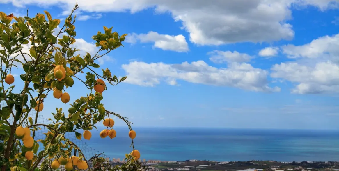 Sale of detached villa in Costa del Sol East 3