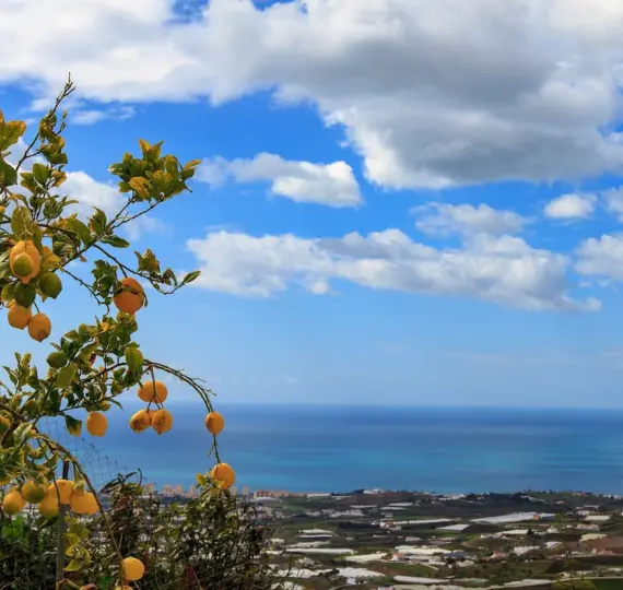 Detached villa R4845850