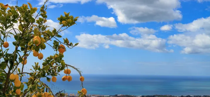 Detached villa R4845850 2