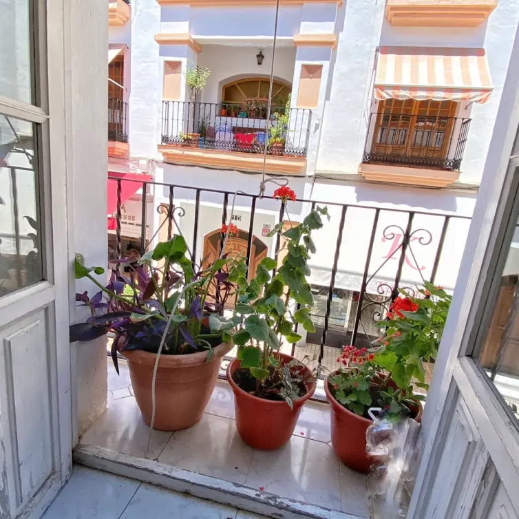 Sale of townhouse in Marbella