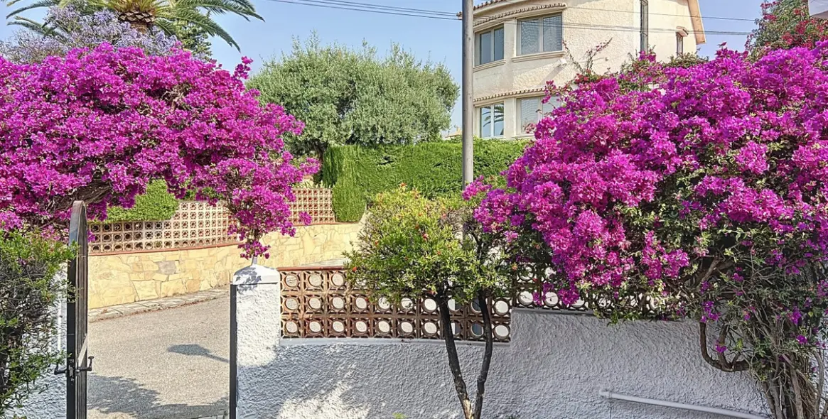 Sale of detached villa in Caleta de Vélez 23