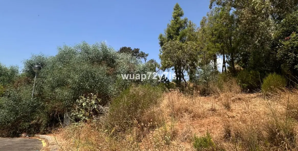 Продажа  жилого участка в Estepona 3