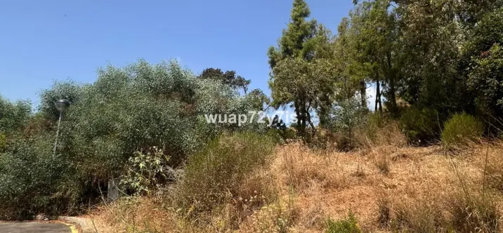 Продажа  жилого участка в Estepona 2