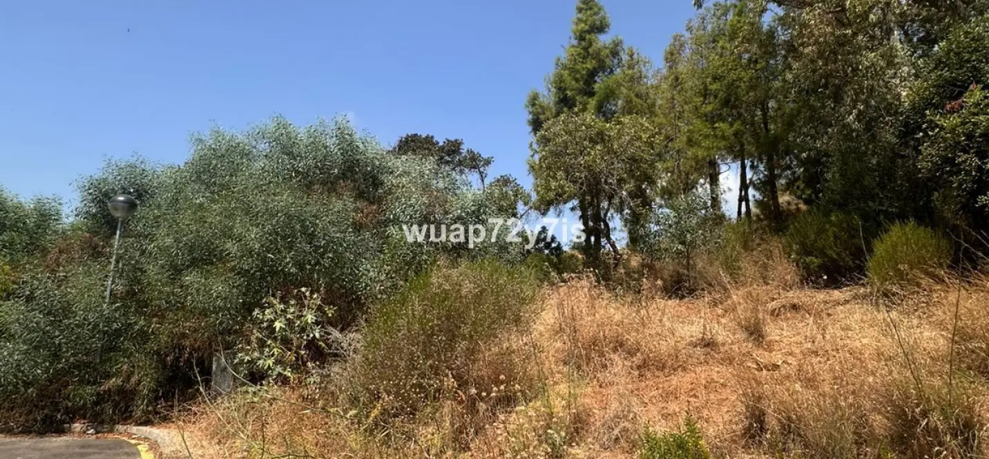 Sale of residential plot in Estepona 2