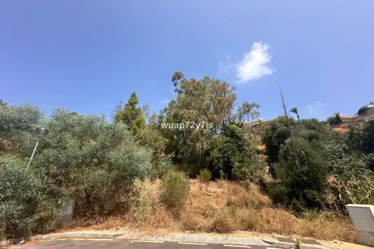 Image 4 thumb