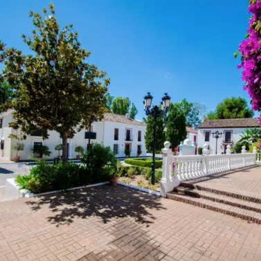 Venta de adosado en Guadalmina Baja