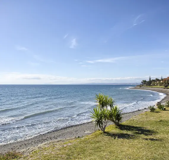 Apartamento en planta media R5217016