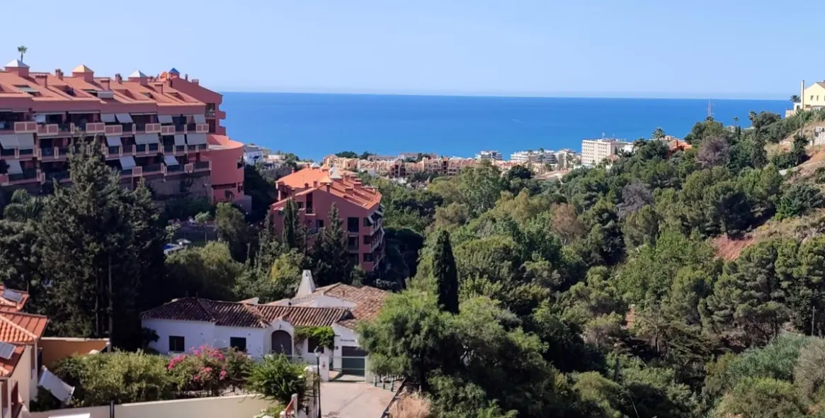 Sale of penthouse duplex in Torreblanca 22