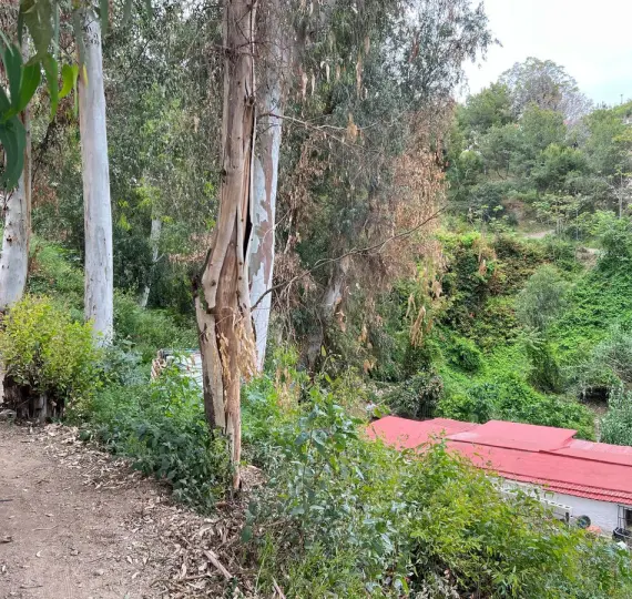 Жилой участок R5032747