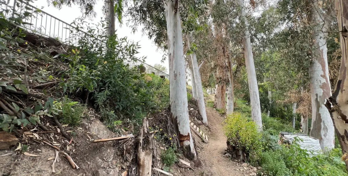 Продажа  жилого участка в Malaga (район Provincia de Málaga) 10