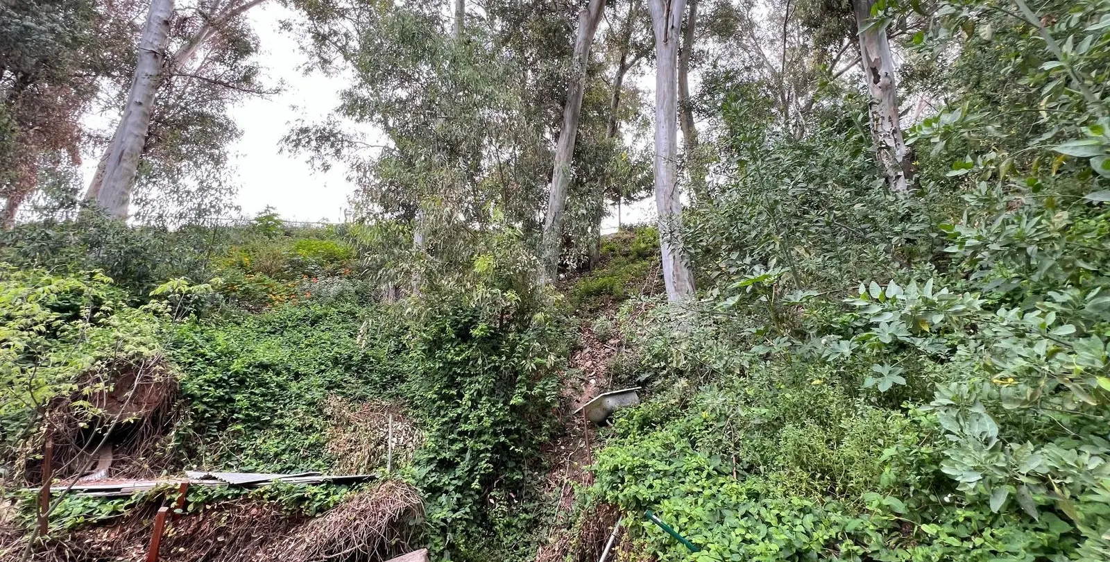 Sale of residential plot in Málaga 1
