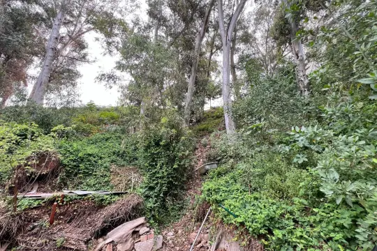 Image 1 thumb