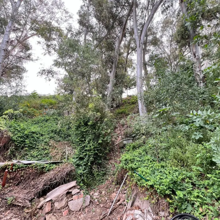 Sale of residential plot in Málaga