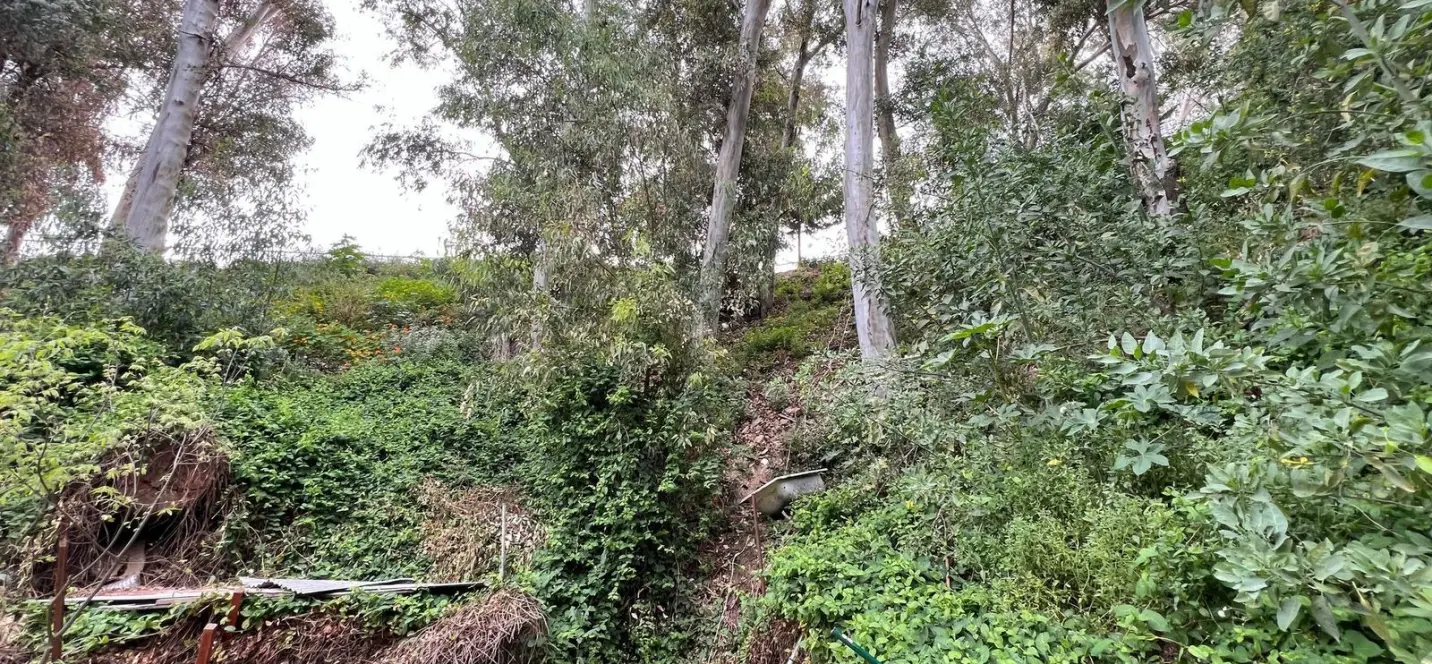 Sale of residential plot in Málaga 0