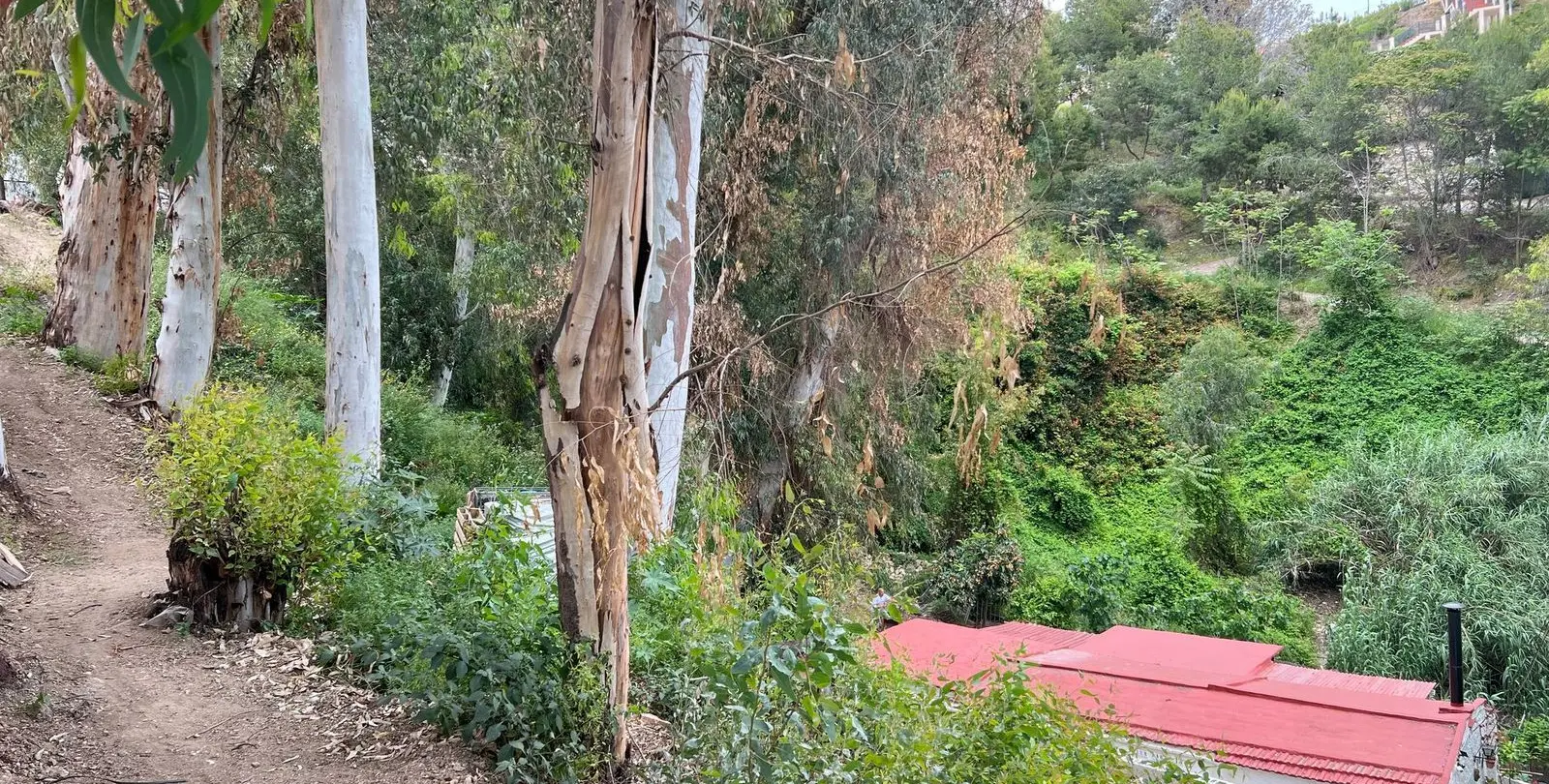 Sale of residential plot in Málaga 2