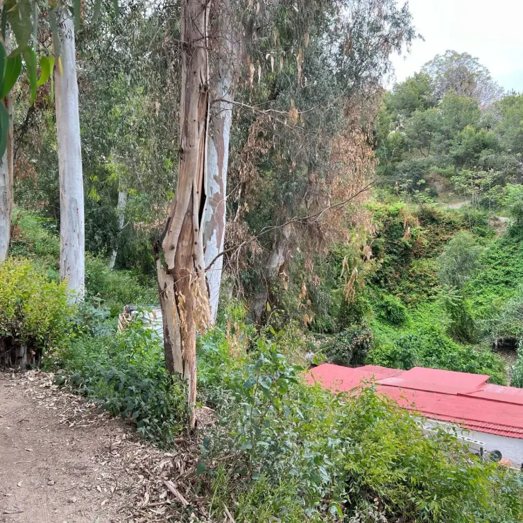 Sale of residential plot in Málaga