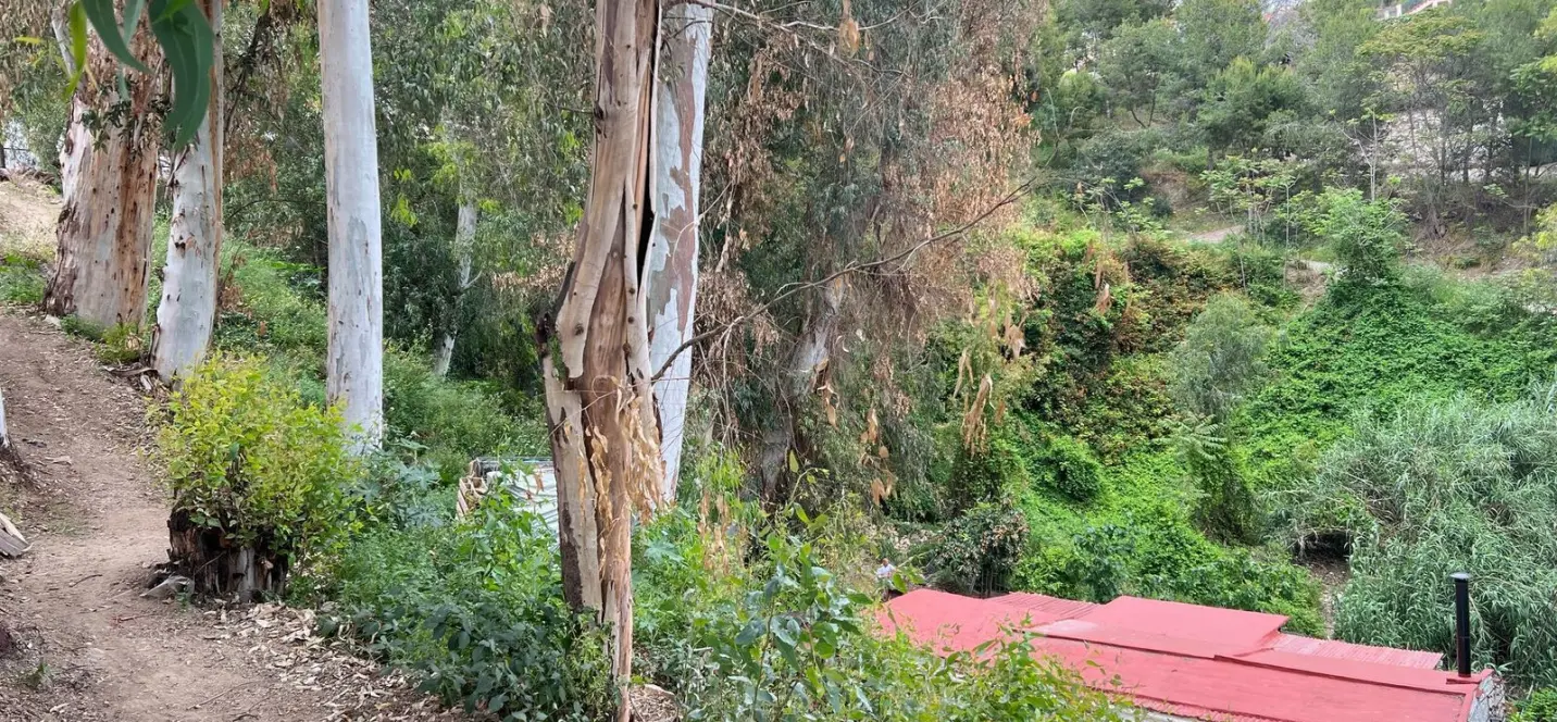 Sale of residential plot in Málaga 1